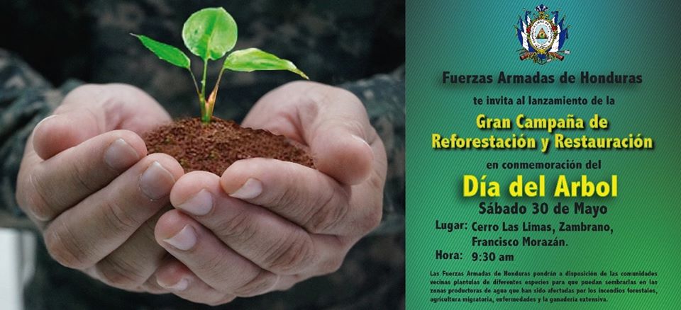 Fuerzas Armadas de Honduras comprometidas con la reforestación nacional