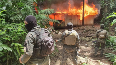 Fuerzas Armadas incinera cuatro hectáreas de plantación de droga