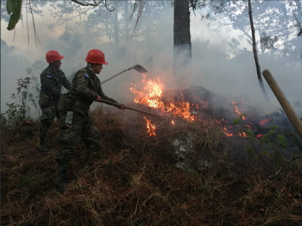 FFAA mantiene una lucha constante contra incendios forestales - FUERZAS ARMADAS DE HONDURAS