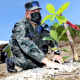 Fuerzas Armadas pone en marcha la campaña de reforestación