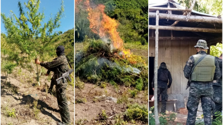 Las Fuerzas Armadas de Honduras asegura e incinera plantación de marihuana