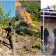 Las Fuerzas Armadas de Honduras asegura e incinera plantación de marihuana