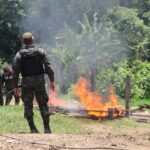 Fuerzas Armadas realiza intervenciones en zonas protegidas de Olancho